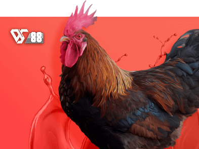 sports_diamond-sabong-88 sports_diamond-sabong-88